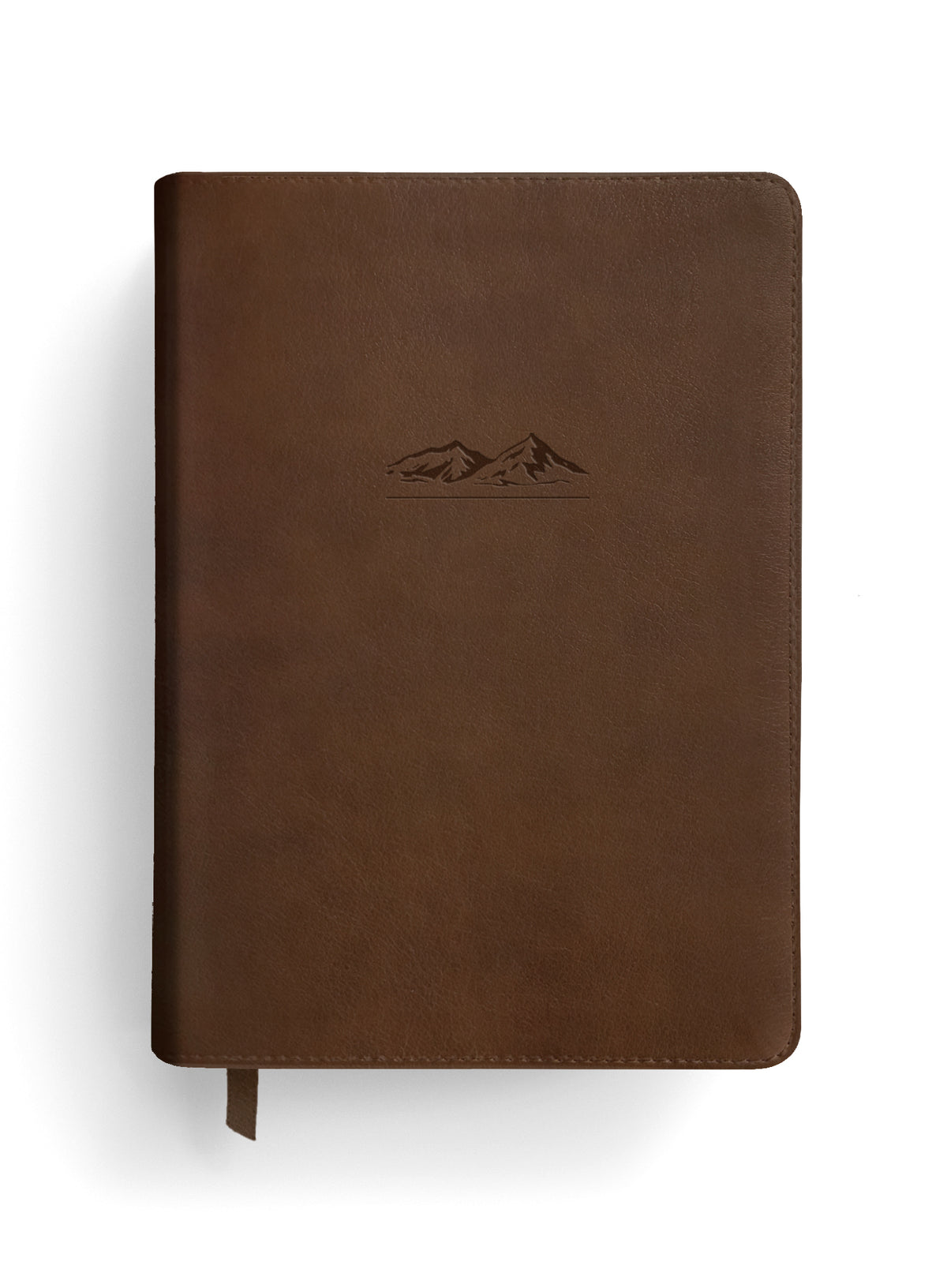 NLT The One Year Bible for Men by Tyndale, product view 2