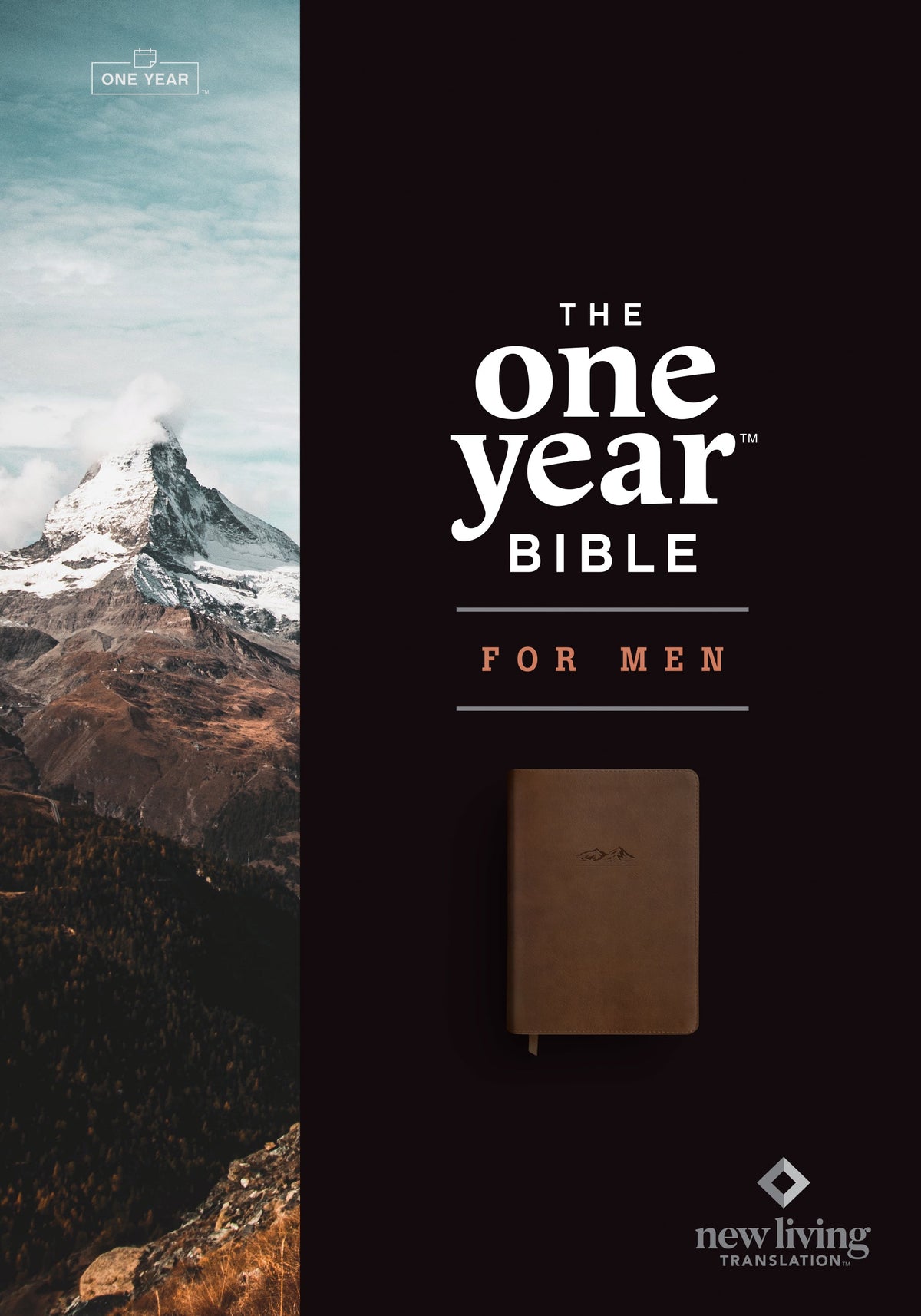 NLT The One Year Bible for Men by Tyndale