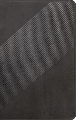 NLT Student Life Application Study Bible, Filament Enabled