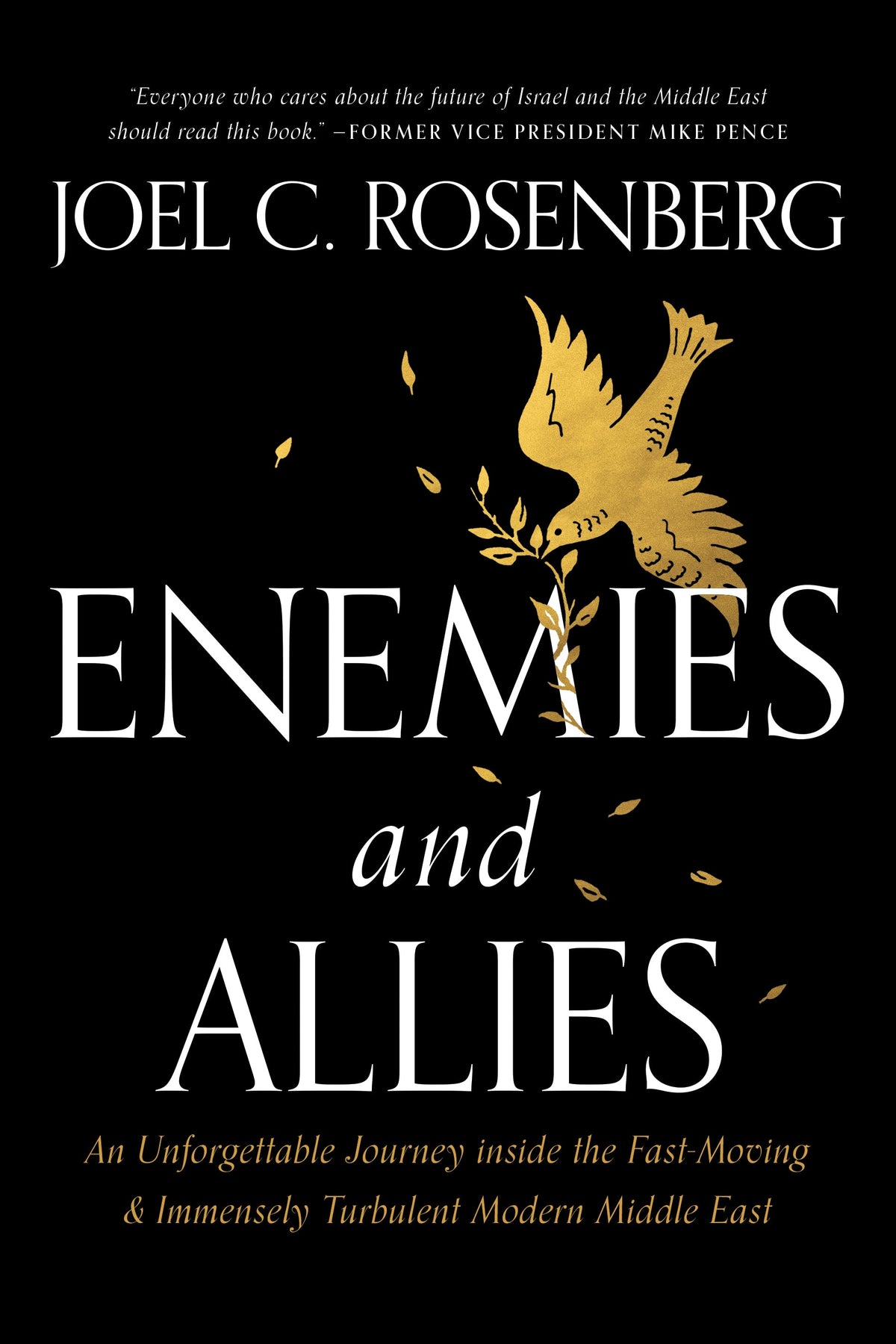 Enemies and Allies by Tyndale