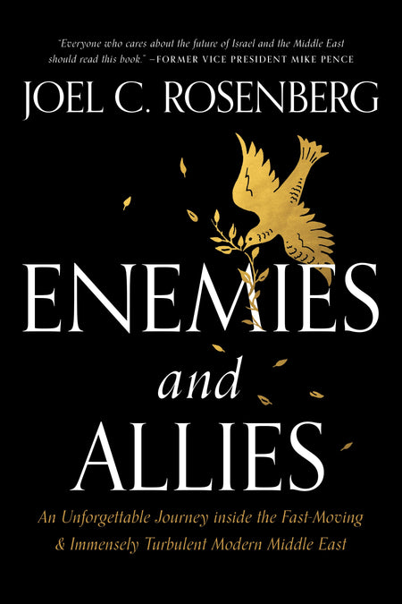 Enemies and Allies by Tyndale