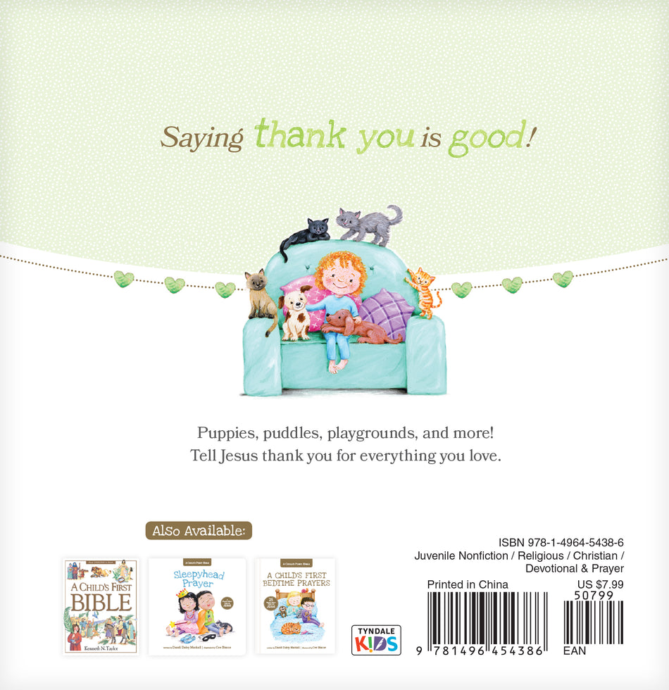 Thanks for Little Things by Tyndale, product view 2