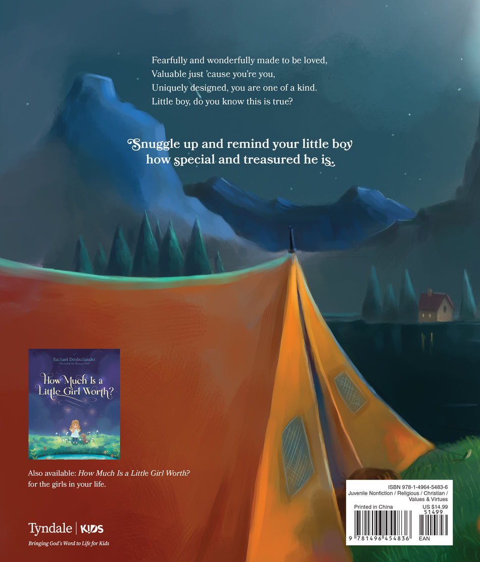 How Much Is a Little Boy Worth? by Tyndale, product view 2