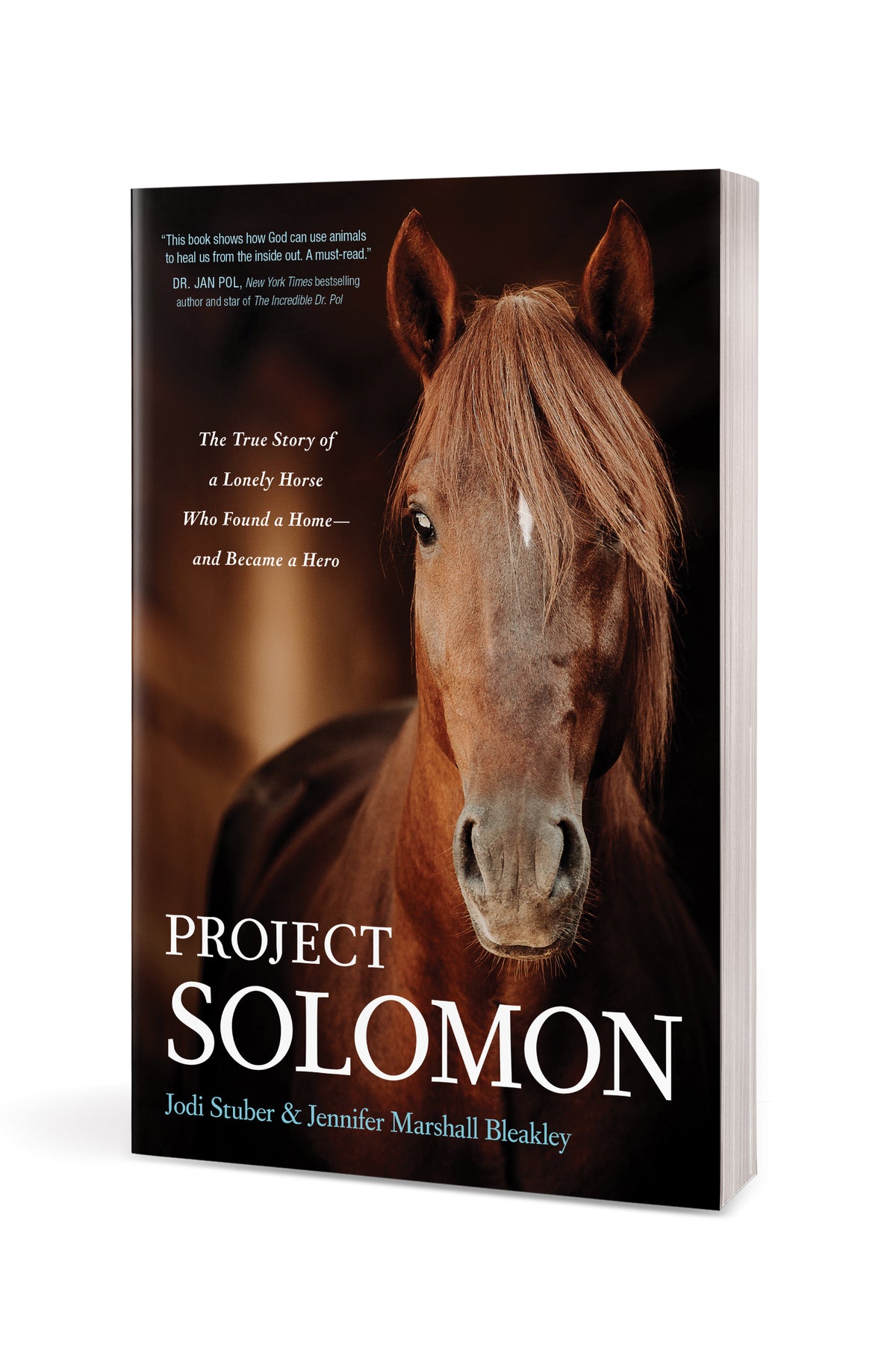 Project Solomon by Tyndale, product view 3