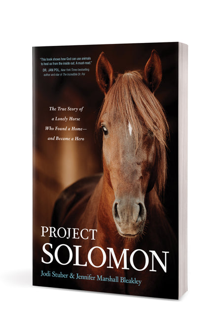 Project Solomon by Tyndale, product view 3