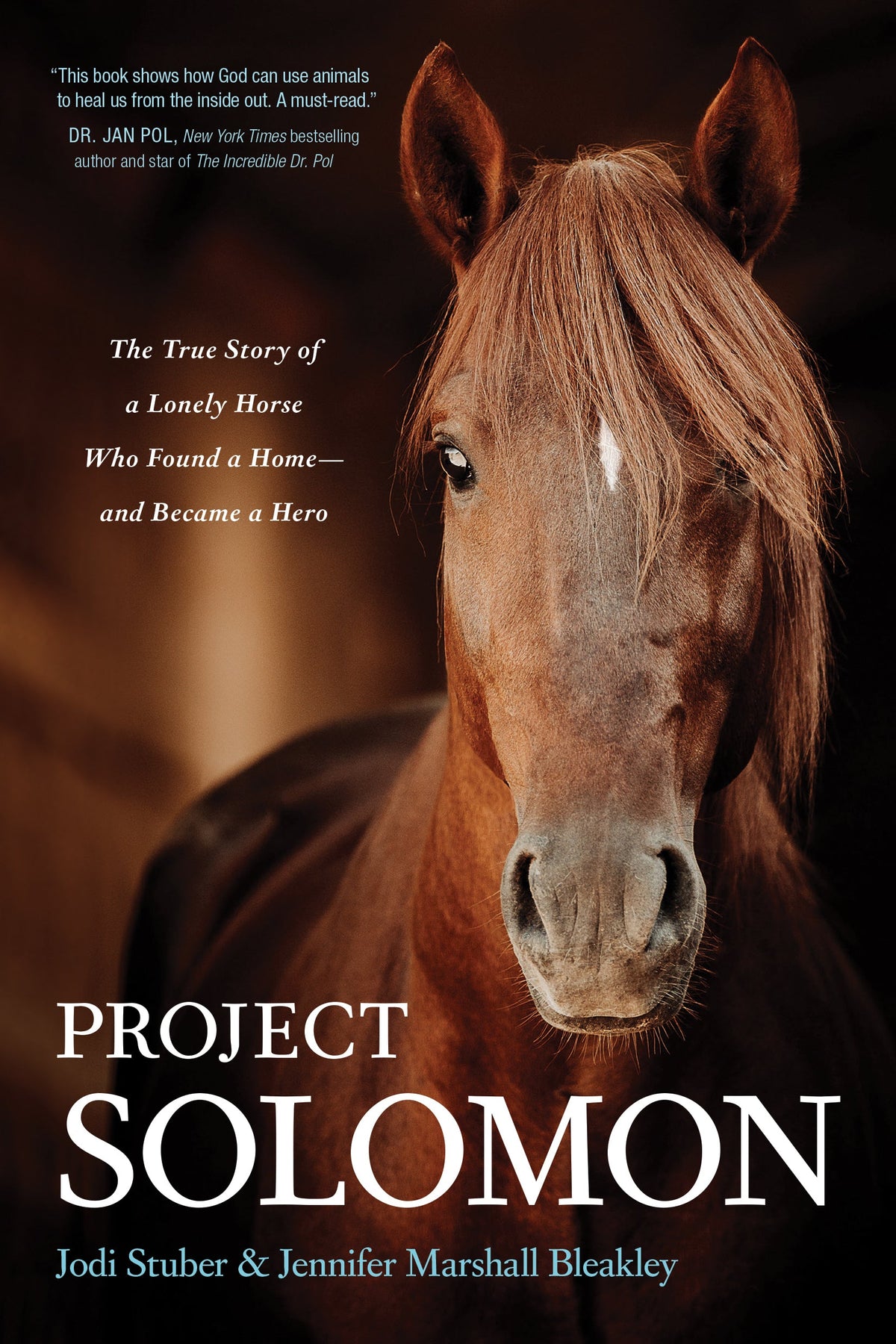 Project Solomon by Tyndale