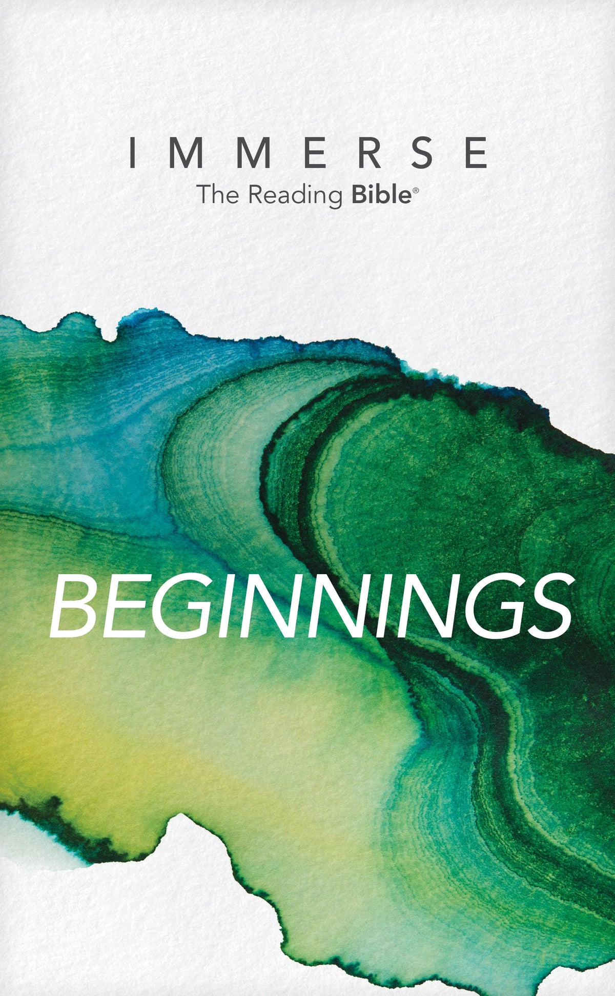 Immerse: Beginnings by Tyndale