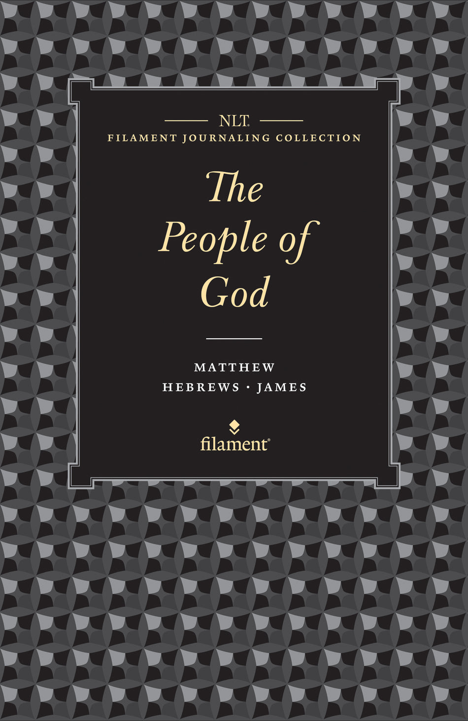 NLT Filament Journaling Collection: The People of God Set; Matthew, Hebrews, and James by Tyndale, product view 2