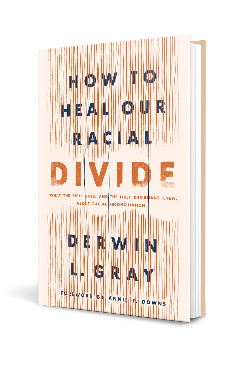 How to Heal Our Racial Divide by Tyndale, product view 2