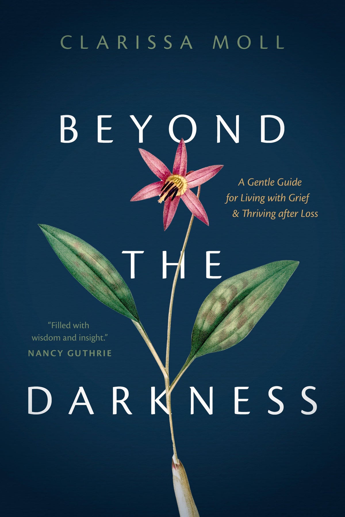 Beyond the Darkness by Tyndale