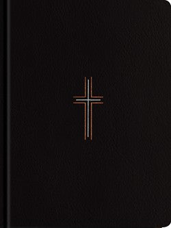 NLT Wide Margin Bible, Filament Enabled