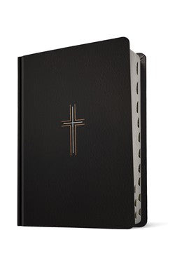 NLT Wide Margin Bible, Filament Enabled