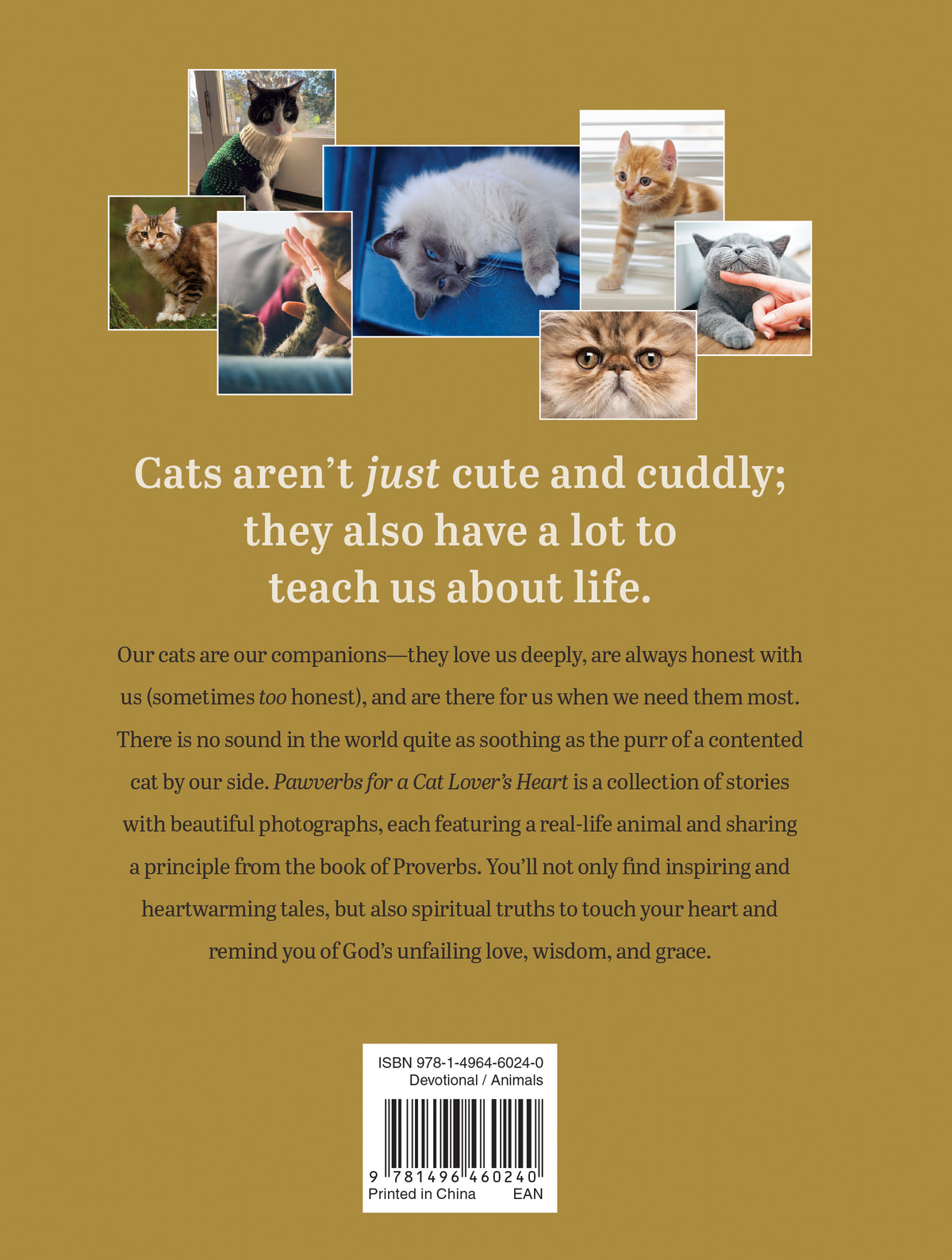 Pawverbs for a Cat Lover's Heart by Tyndale, product view 2