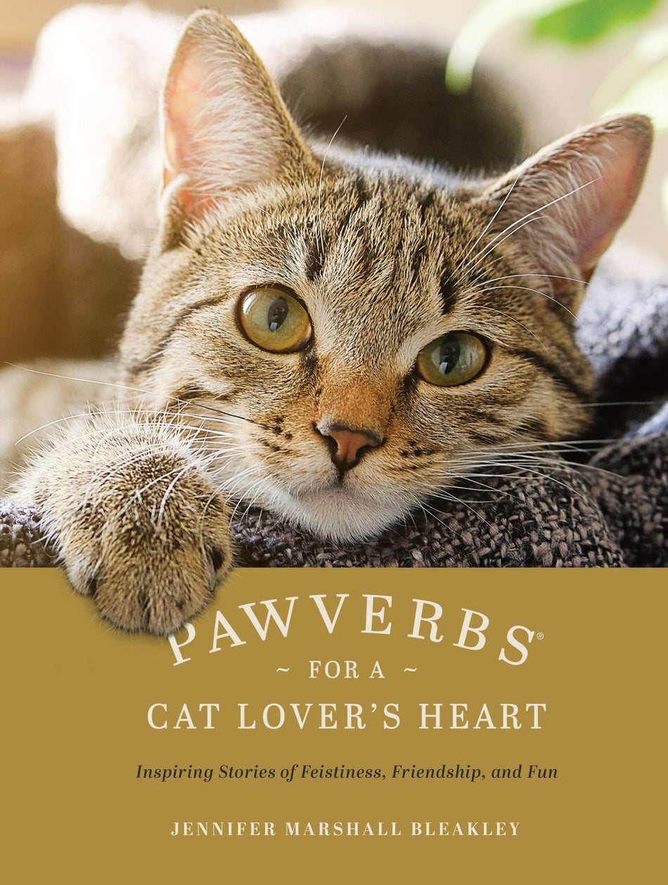 Pawverbs for a Cat Lover's Heart by Tyndale