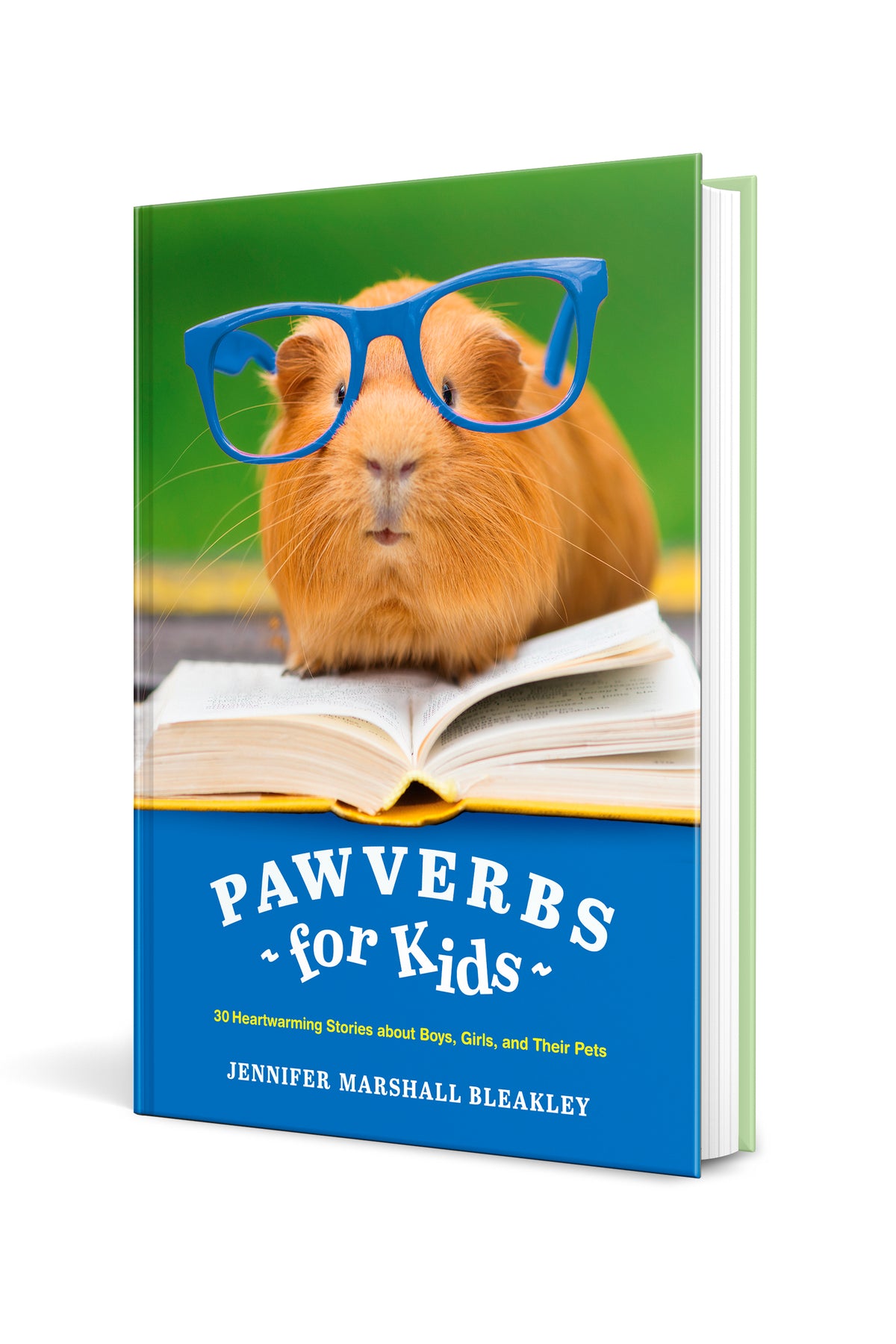Pawverbs for Kids by Tyndale, product view 3