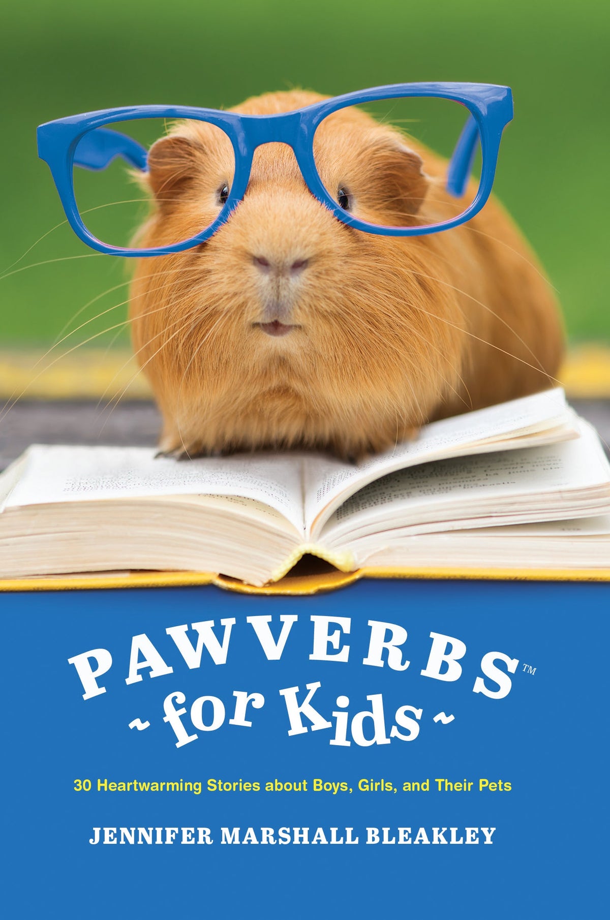 Pawverbs for Kids by Tyndale