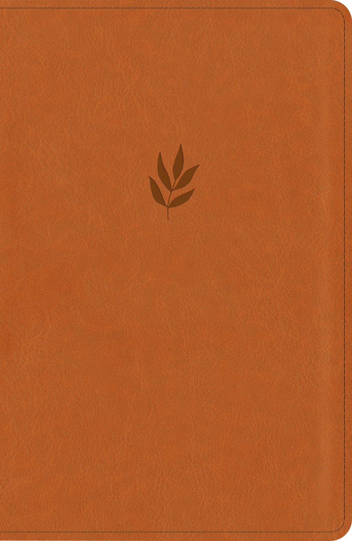 NLT Personal Size Giant Print Bible, DaySpring Signature Collection, Filament Enabled by Tyndale, product view 2