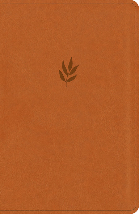 NLT Personal Size Giant Print Bible, DaySpring Signature Collection, Filament Enabled by Tyndale, product view 2