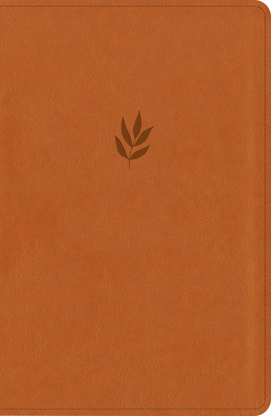 NLT Personal Size Giant Print Bible, DaySpring Signature Collection, Filament Enabled by Tyndale, product view 2