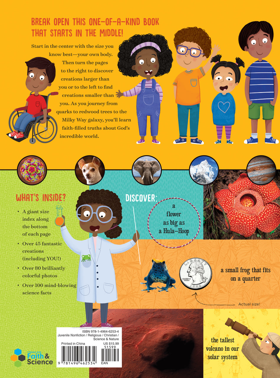 The Size of Everything by Tyndale, product view 2