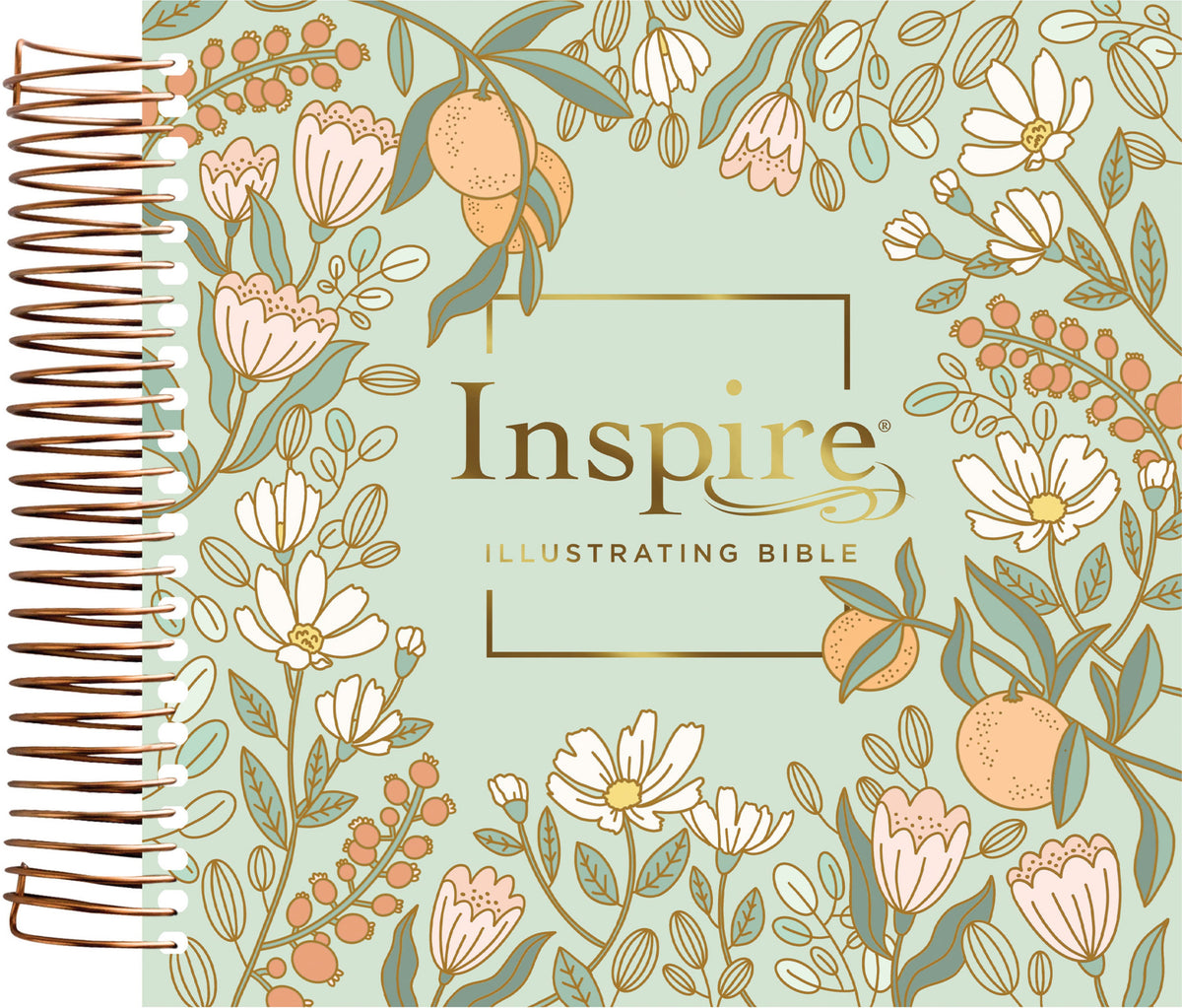 NLT Day Spring Inspire Illustrating Bible, Filament Enabled by Tyndale