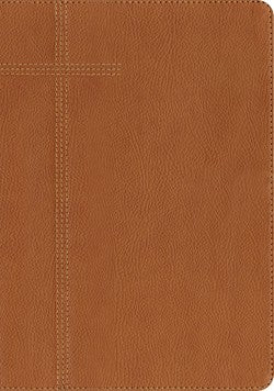 Every Man's Bible NLT, Large Print