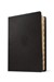 NLT Courage For Life Study Bible for Men