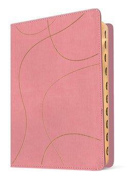 Biblia de estudio del diario vivir para jóvenes NTV con Filamen