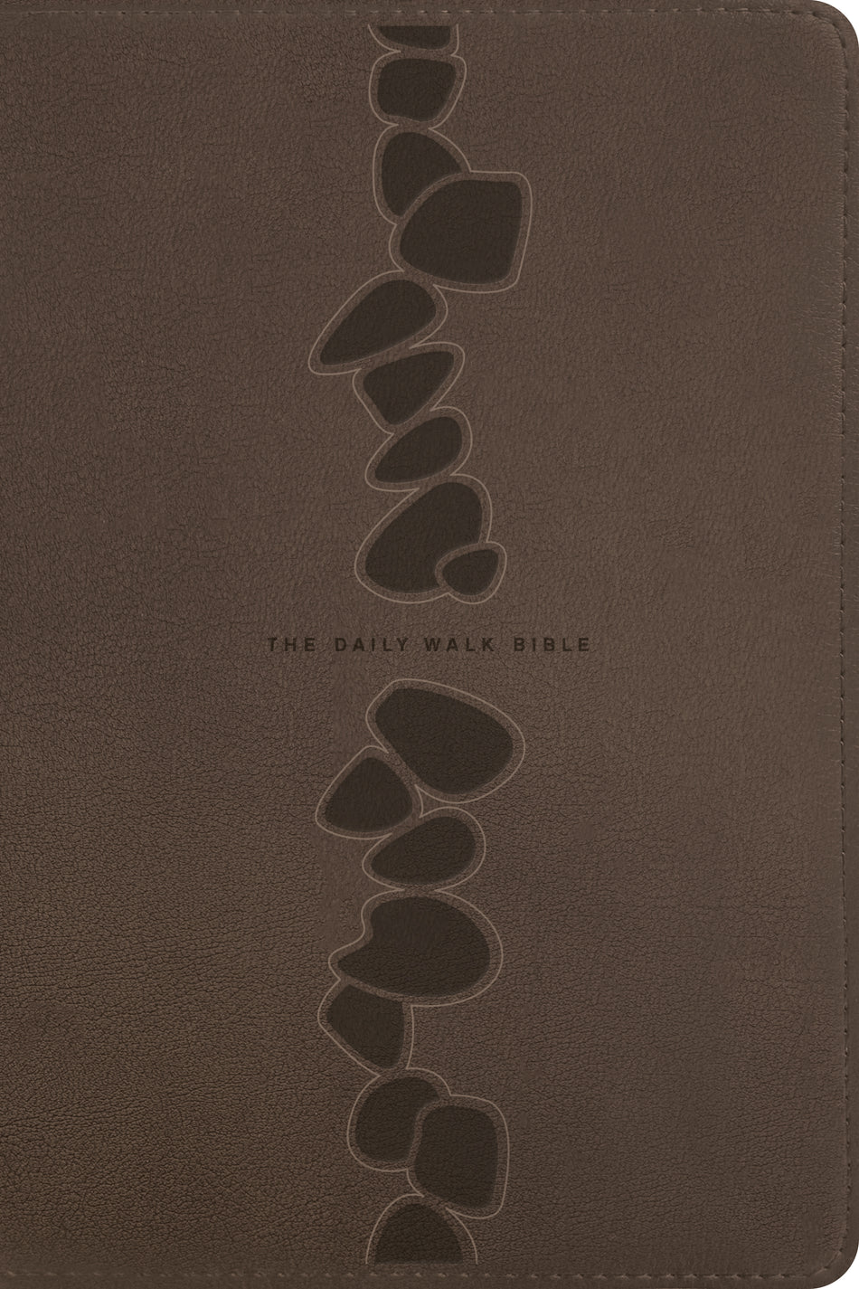 The Daily Walk Bible NLT by Tyndale, product view 2