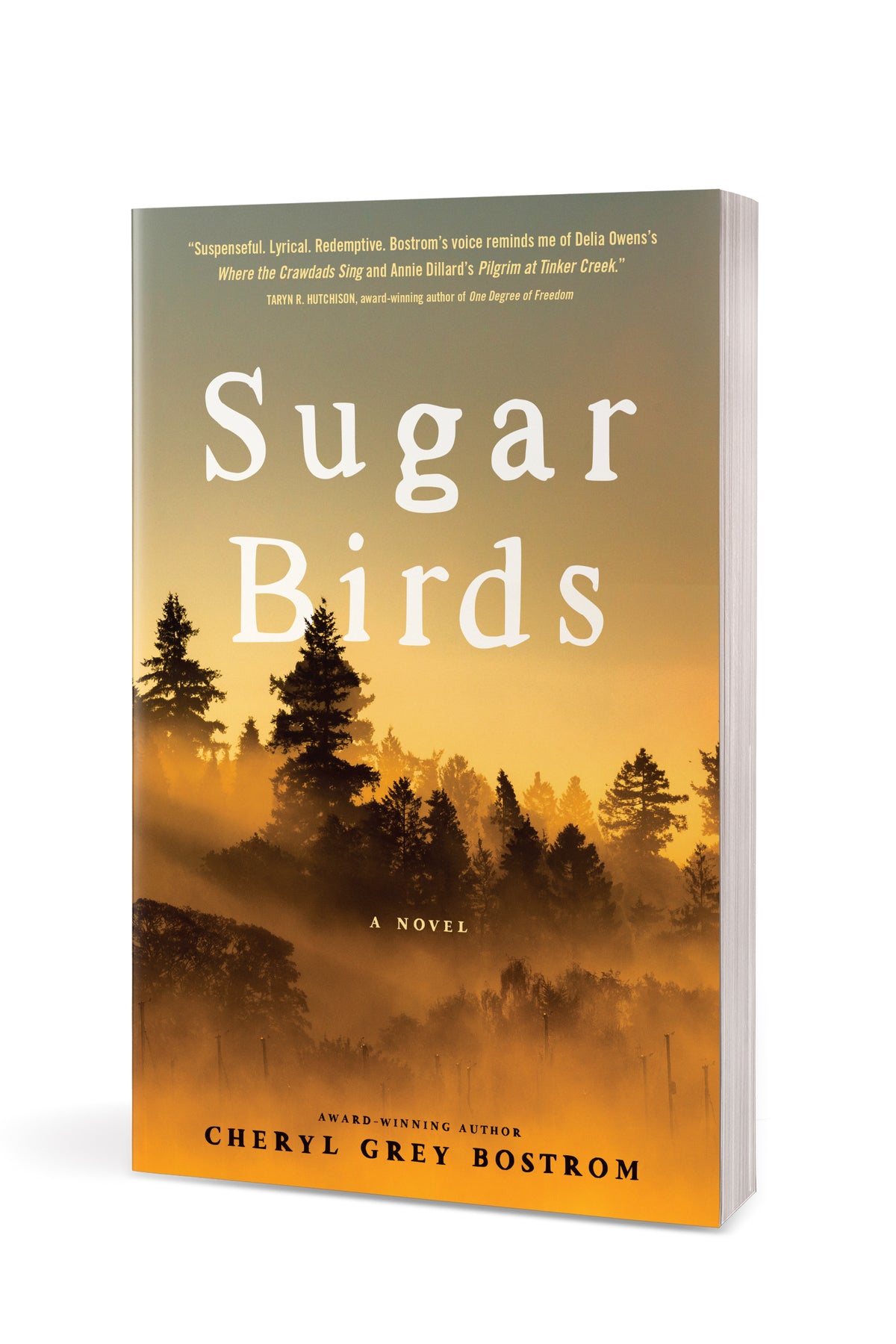 Sugar Birds by Tyndale, product view 3