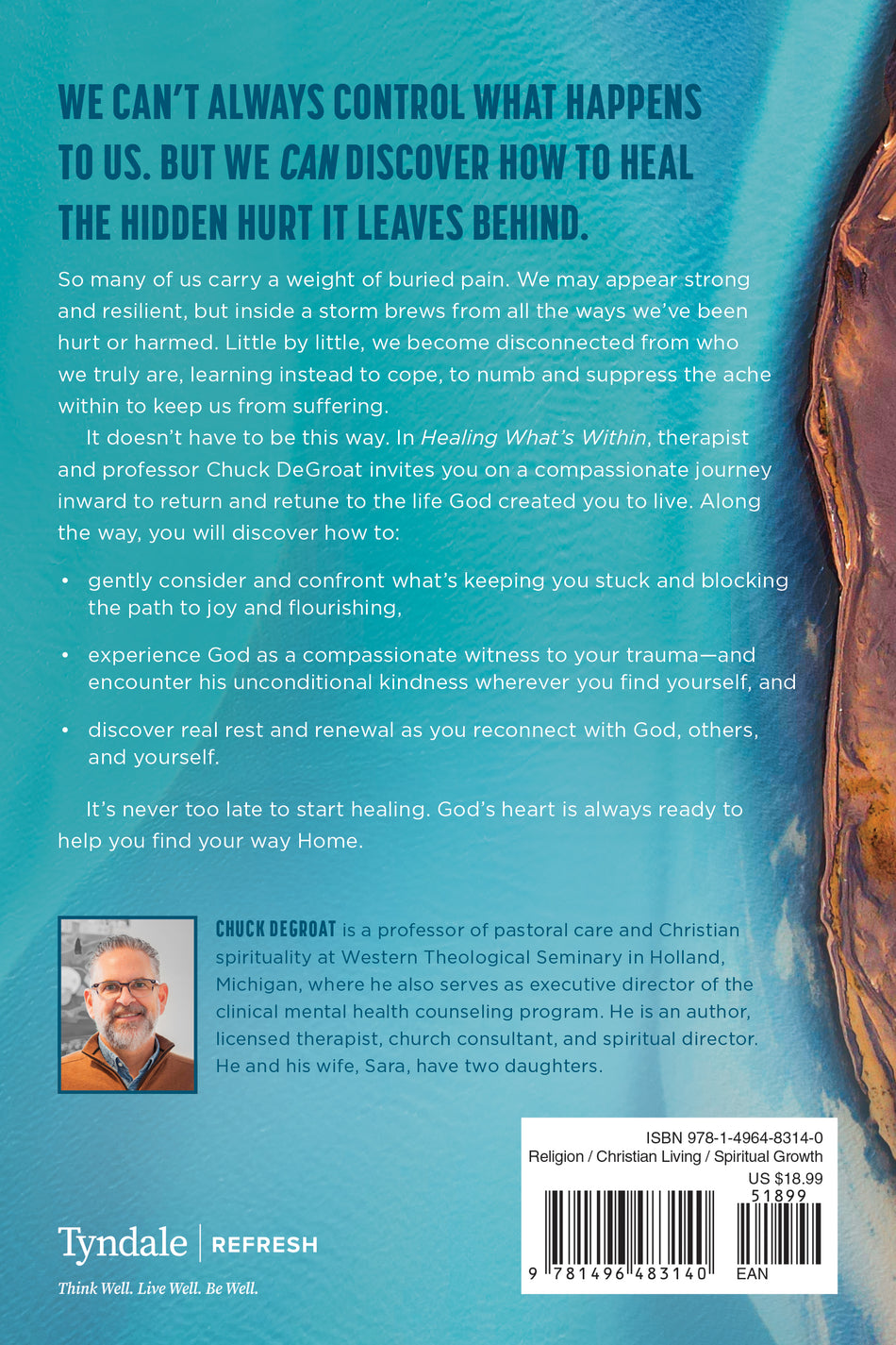 Healing What’s Within by Tyndale, product view 2