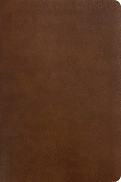 NLT One Year Chronological Study Bible