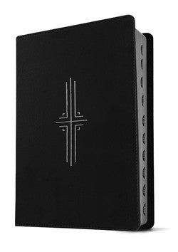 Biblia ultrafina NTV, con Filament
