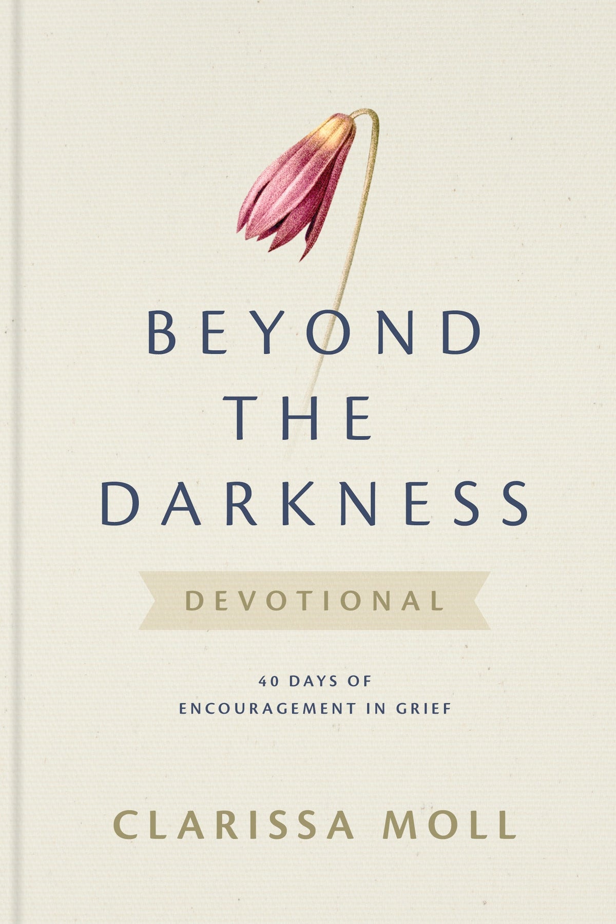 Beyond the Darkness Devotional by Tyndale