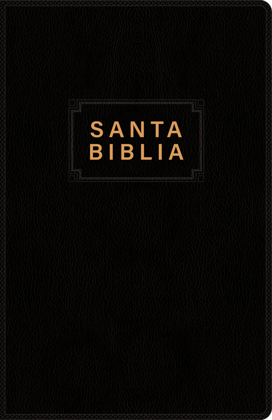 Santa Biblia NTV, Edición premio y regalo by Tyndale, product view 2