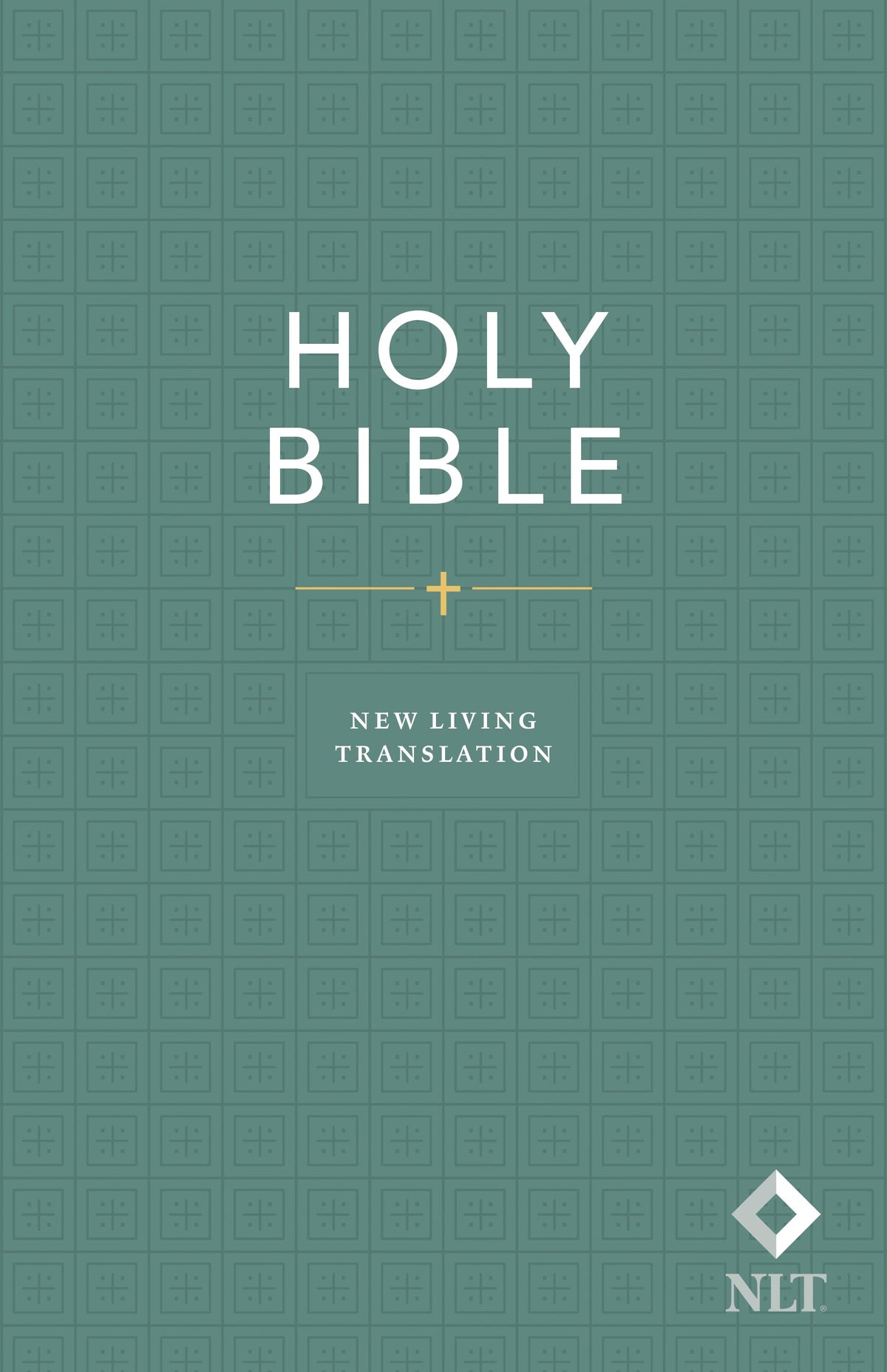 Holy Bible, Economy Outreach Edition