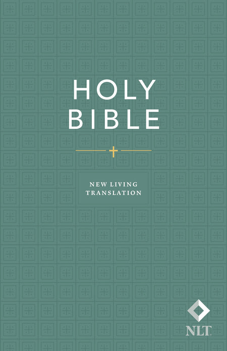 Holy Bible, Economy Outreach Edition