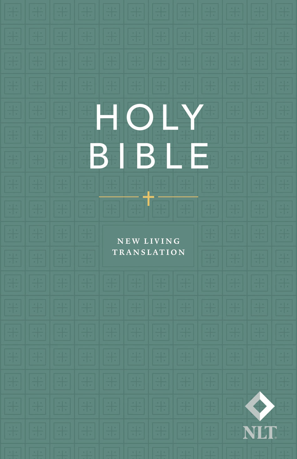 Holy Bible, Economy Outreach Edition