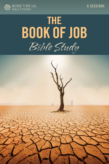 The Book of Job Bible Study (Rose Visual Bible Studies) by Tyndale
