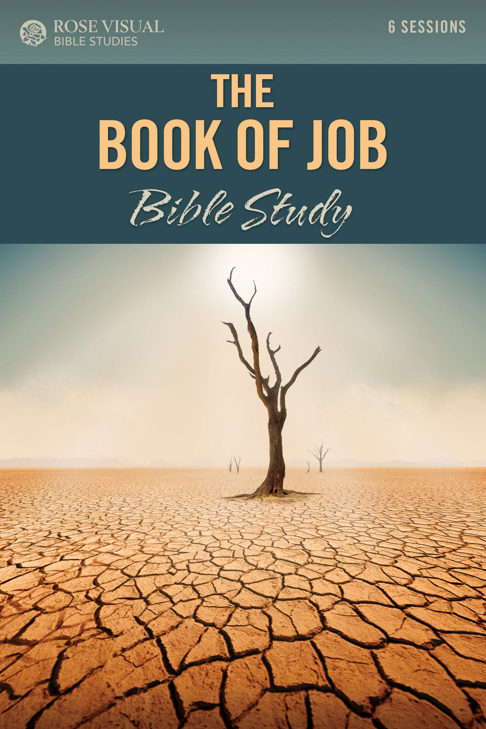 The Book of Job Bible Study (Rose Visual Bible Studies) by Tyndale