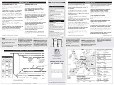 Reformation Time Line Wall Chart