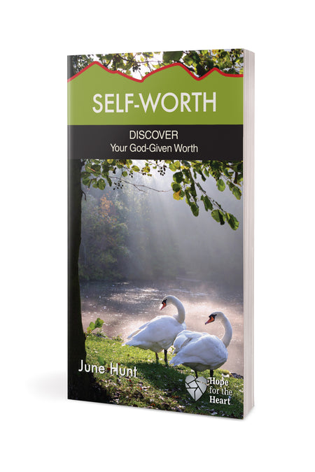 Self-Worth by Tyndale, product view 3