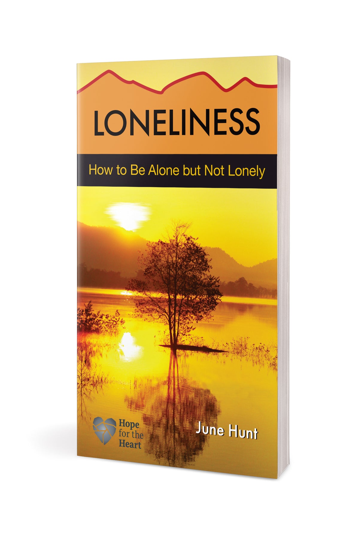 Loneliness by Tyndale, product view 3