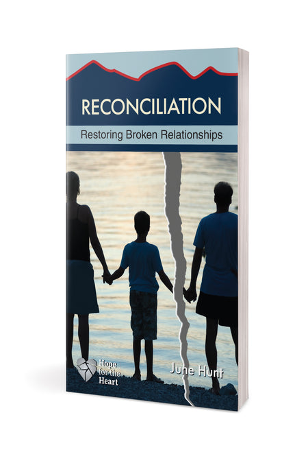 Reconciliation by Tyndale, product view 3