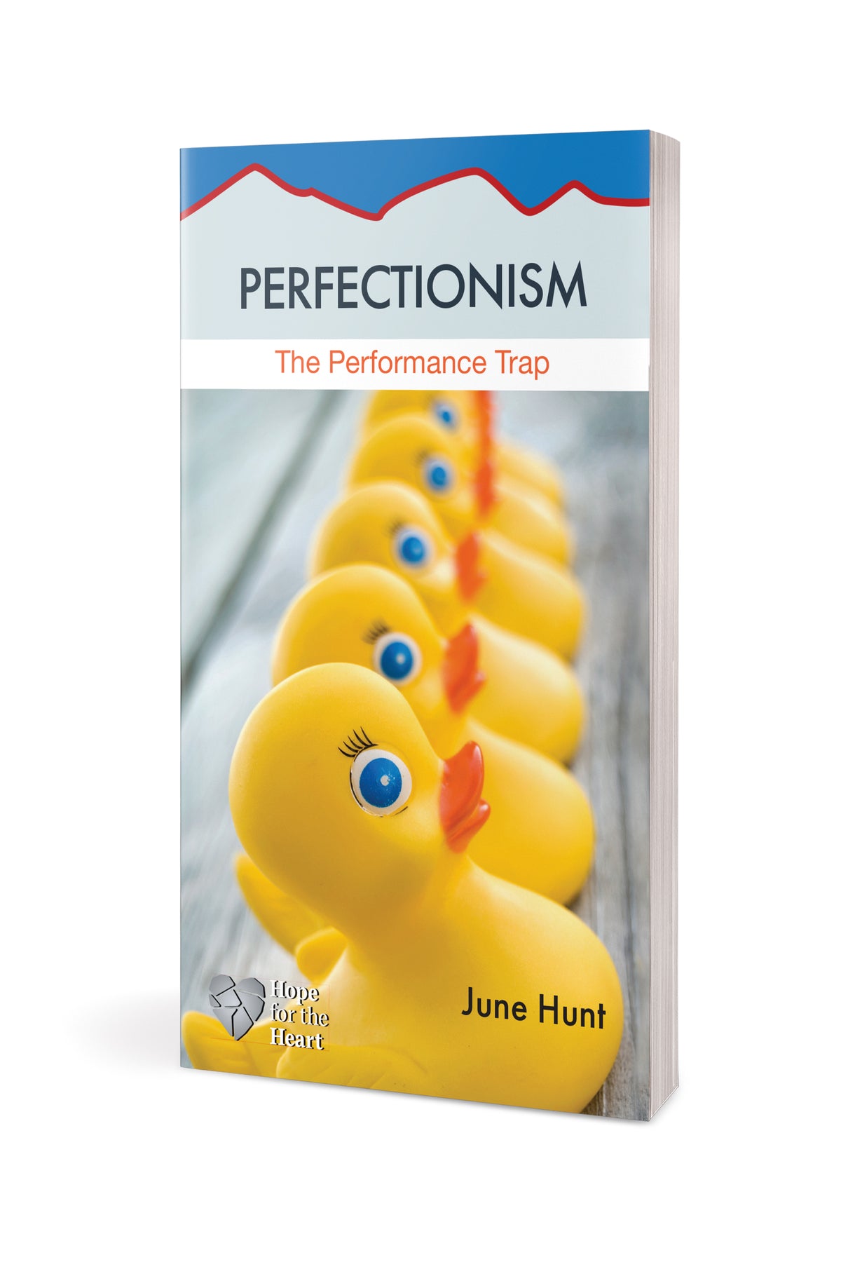 Perfectionism by Tyndale, product view 3