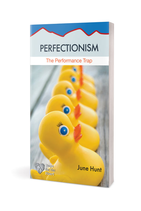 Perfectionism by Tyndale, product view 3