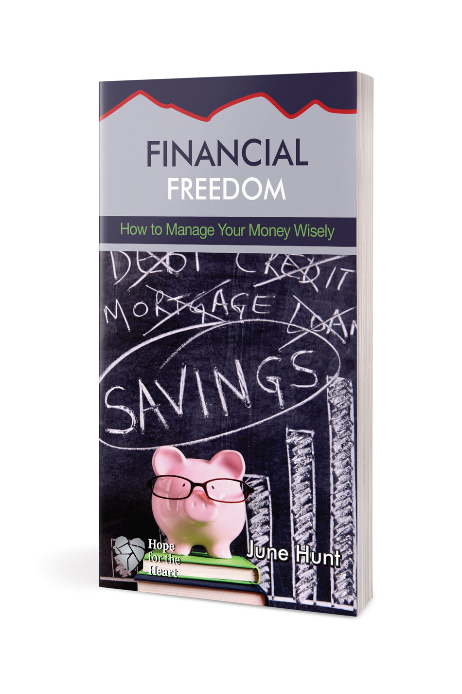 Financial Freedom by Tyndale, product view 2
