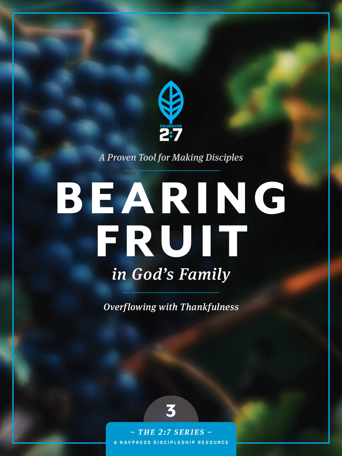 Bearing Fruit in God's Family (The 2:7 Series) by Tyndale