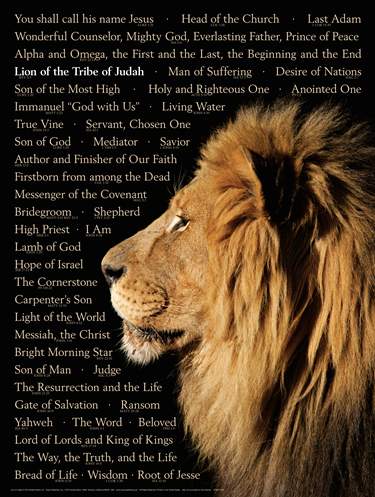 Lion of Judah (Names of Christ) Wall Chart