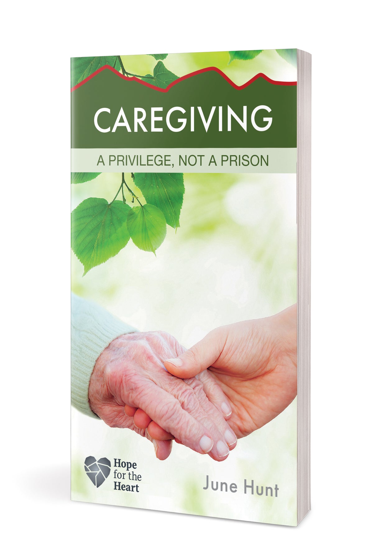 Caregiving by Tyndale, product view 3